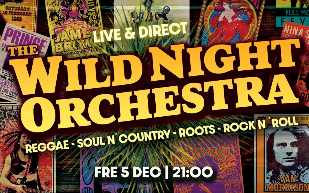 Wild Night Orchestra